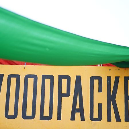 Woodpacker Hostel Auroville Pondicherry Kültér fotó